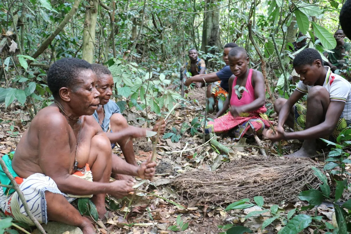 Central African Republic (CAR)