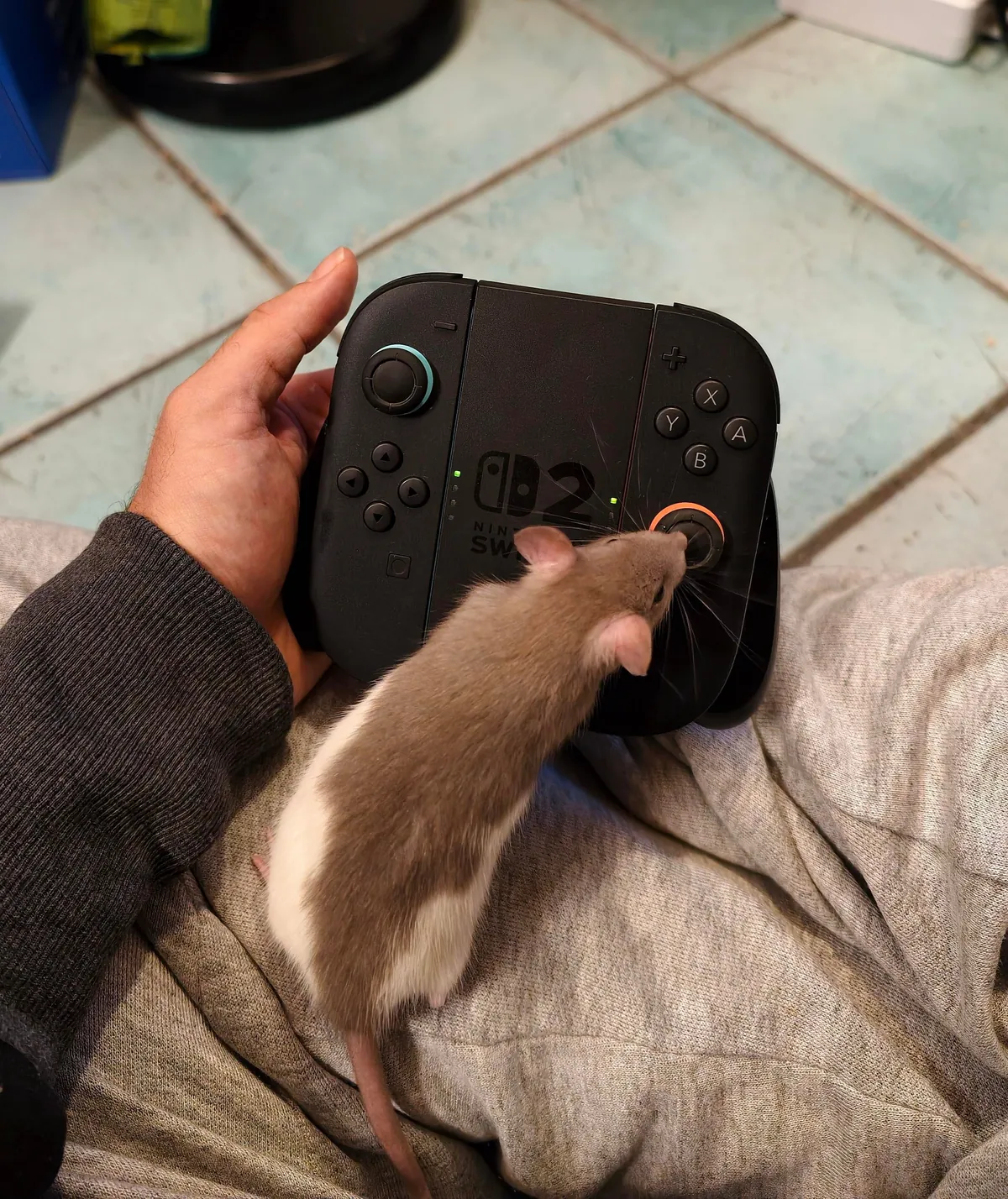 We are doing Ratatouille but with video-games