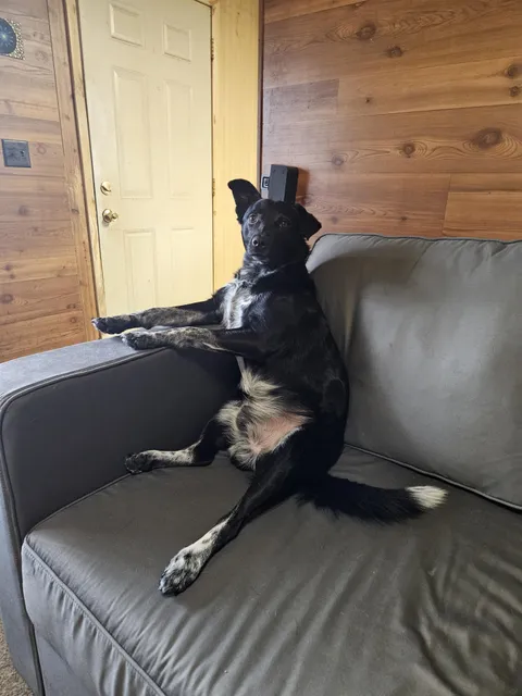 Awe, he thinks he's people!