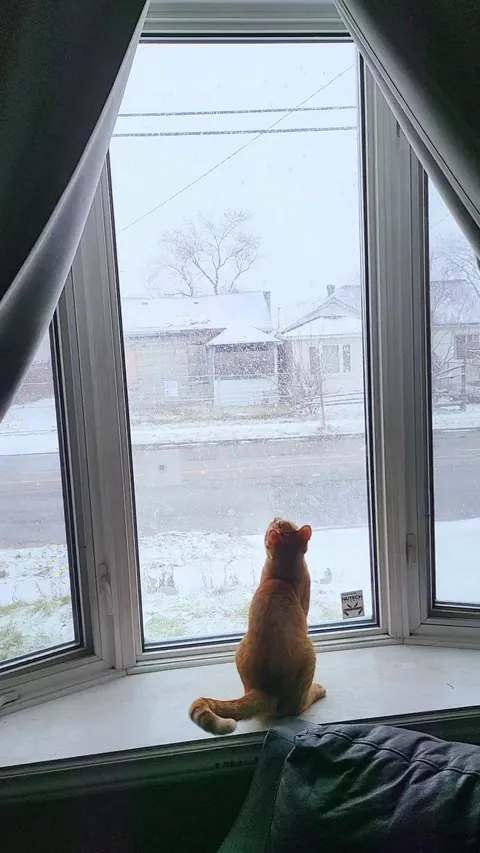Just catching snowflakes