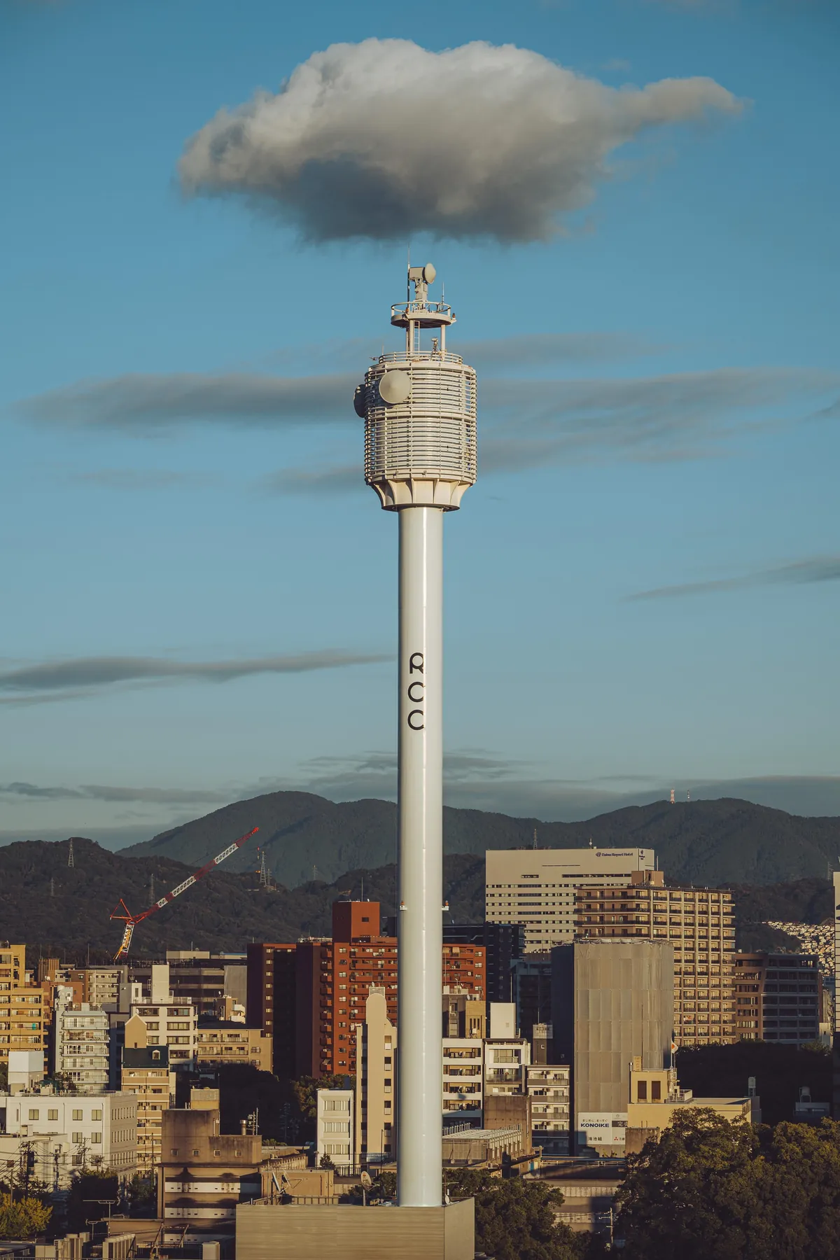 An incredible two weeks in Japan!