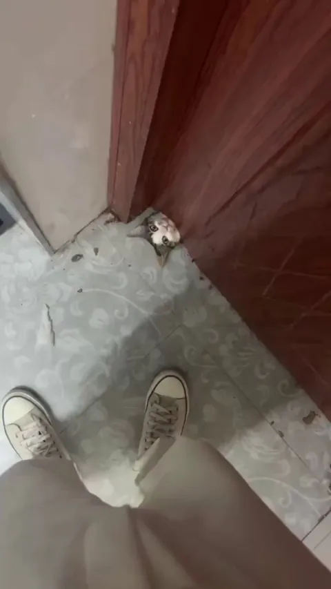 No closed doors allowed