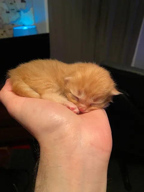 Before and after, 8 months apart