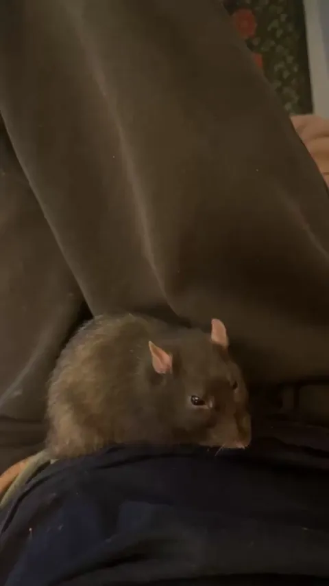 Ok now I genuinely don’t know, is she enjoying this? Why did she scowl at me