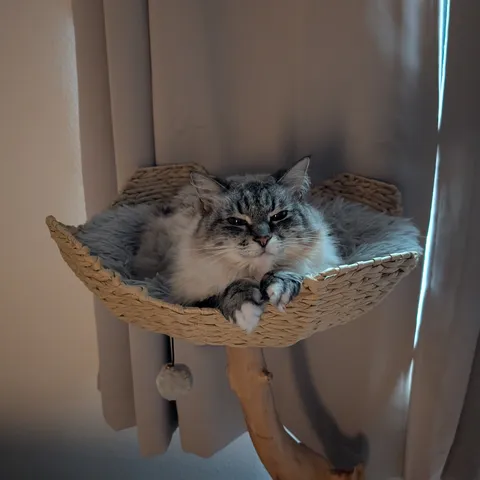 She loves her basket