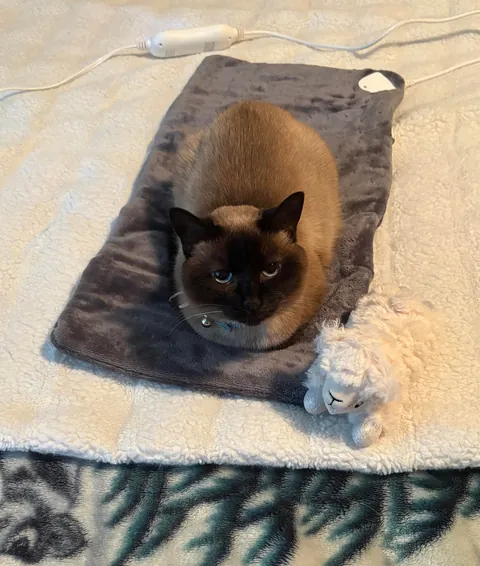 I JUST bought that heating pad…