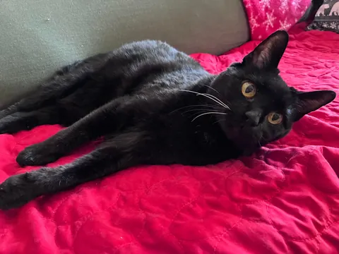 My 18 y.o. void girl