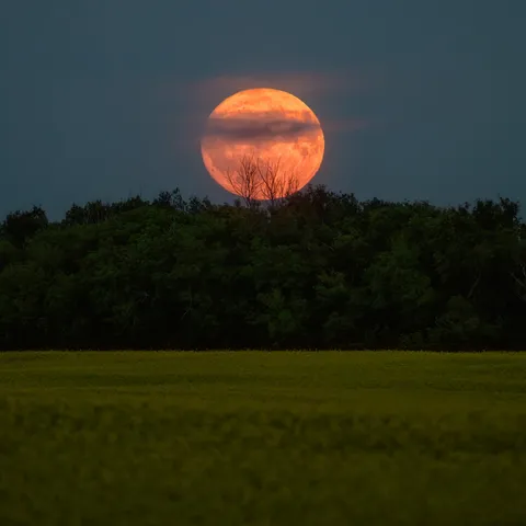 Full Buck Moon.  Saskatchewan Canada.  [oc] [ 2048x2048]