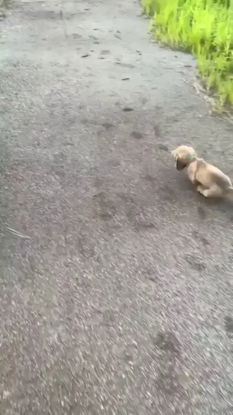 Please carry me in your arms.