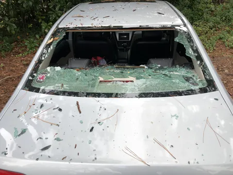 In the past week, my dog of 14 years died, I’ve been sick, my dad had emergency heart surgery, and this is what I woke up to on my day off.