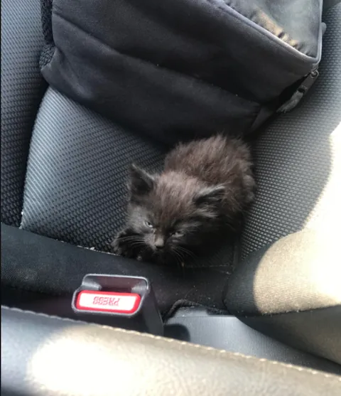 Saved criminal at intersection on the way to work