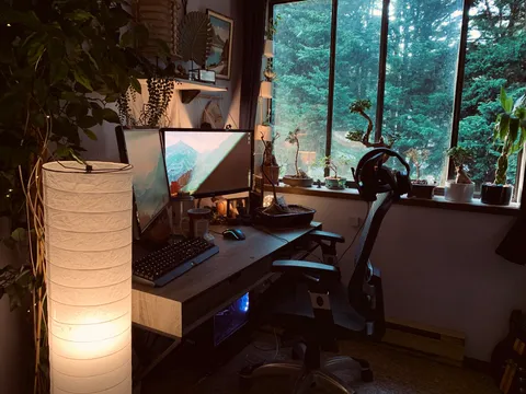 2020 Setup🍃🌿