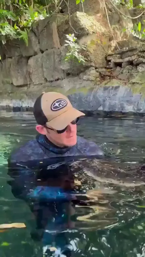 Dude explains why alligator won't kill him
