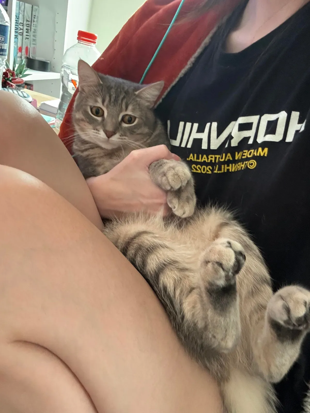 He bit my roommate so I’m posting his ugliest pics