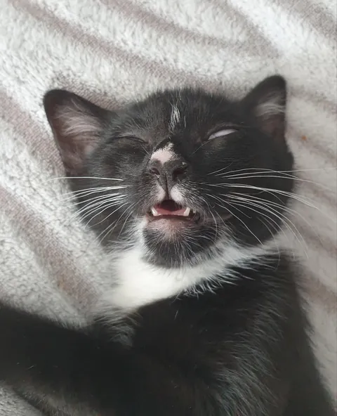 She was playing so hard and then all of a sudden...