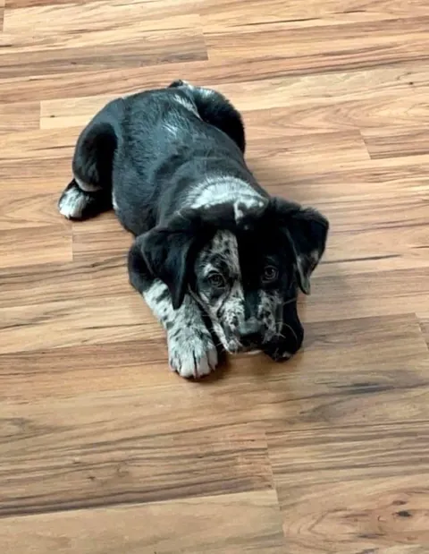 Distinguished Gentleman 🥹