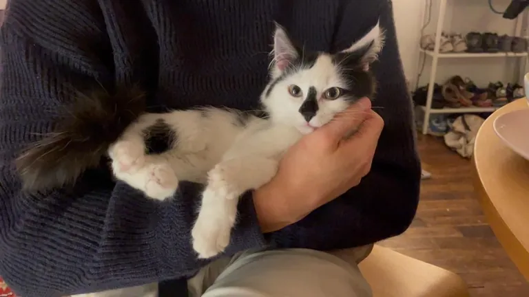 Just a little guy we found under our car, turns out he's pretty chill