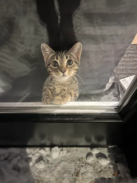 Imagine that : you’re leaving to work, and as you lock your door, you’re greeted with this.