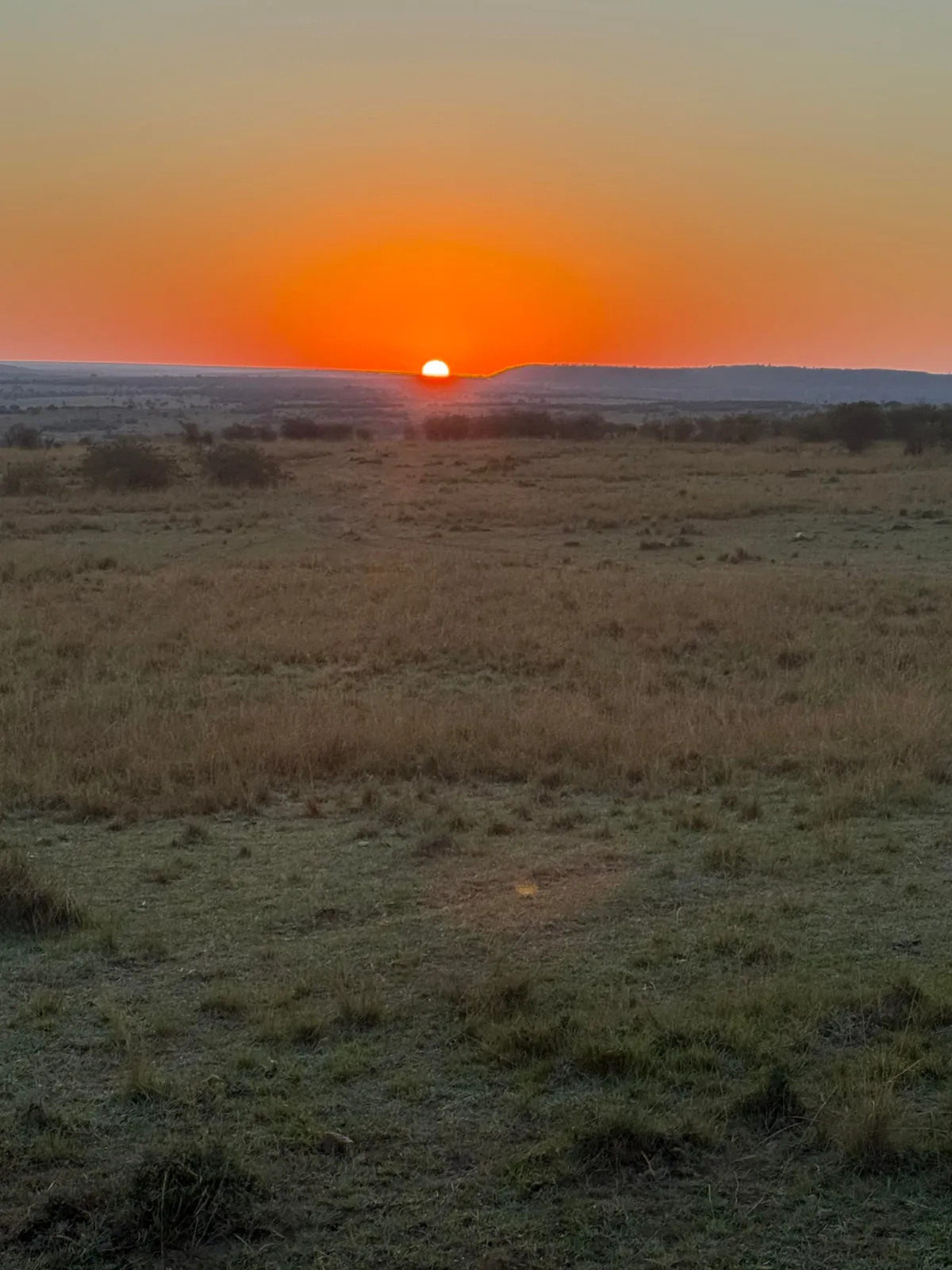 First safari experience, and I’m so happy we chose Kenya (2025)
