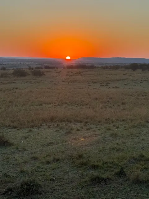 First safari experience, and I’m so happy we chose Kenya (2025)
