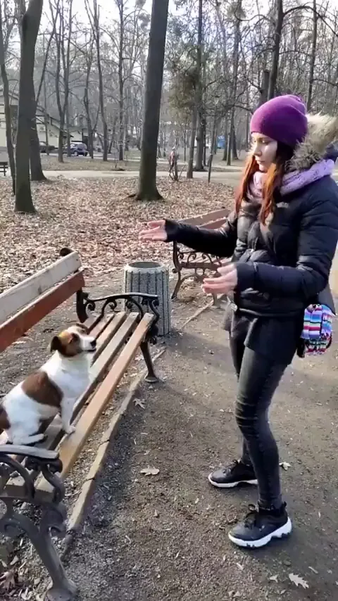 He refuses to walk when he can just be carried like a baby