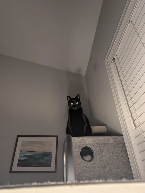 Nyx has a flair for the dramatic