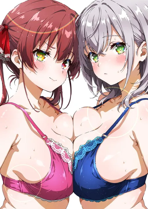 Houshou Marine x Shirogane Noel [Hololive]