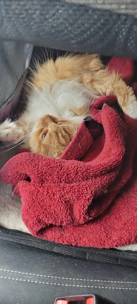 Woke up this morning and she was gone.