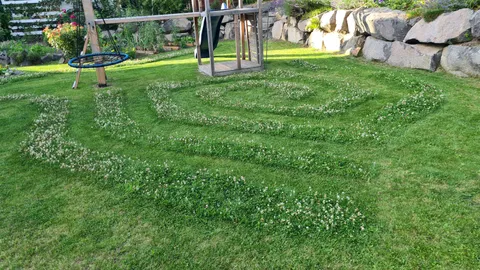 Didn't want to totally mow off the bee food, now the kids have been running circles around the garden for hours, win win!