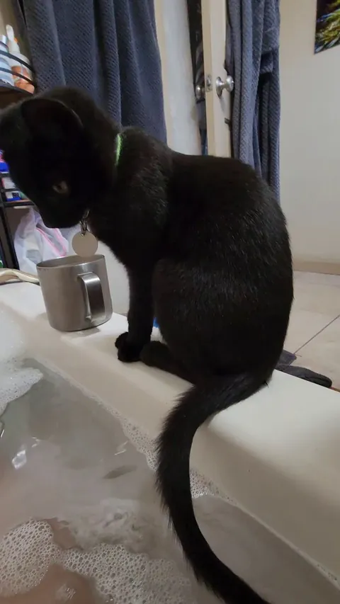 He didn't even notice until I showed him