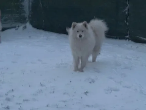 Guess who woke up to the best day ever