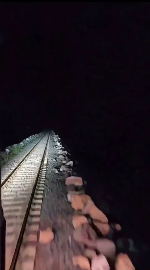 Train on Laguna La Picasa on Argentina 