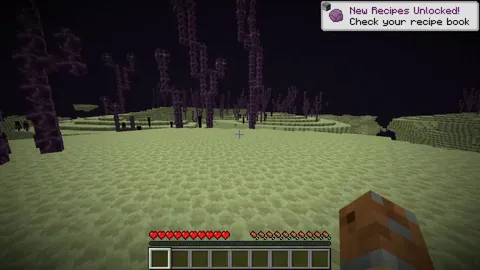 I made this edit of my best Minecraft memories a while ago, and I thought you guys might like it!