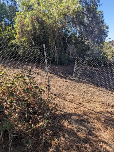 Cops asked if they could look around our yard last night. I was wondering how they got into our neighbors yard so quickly.