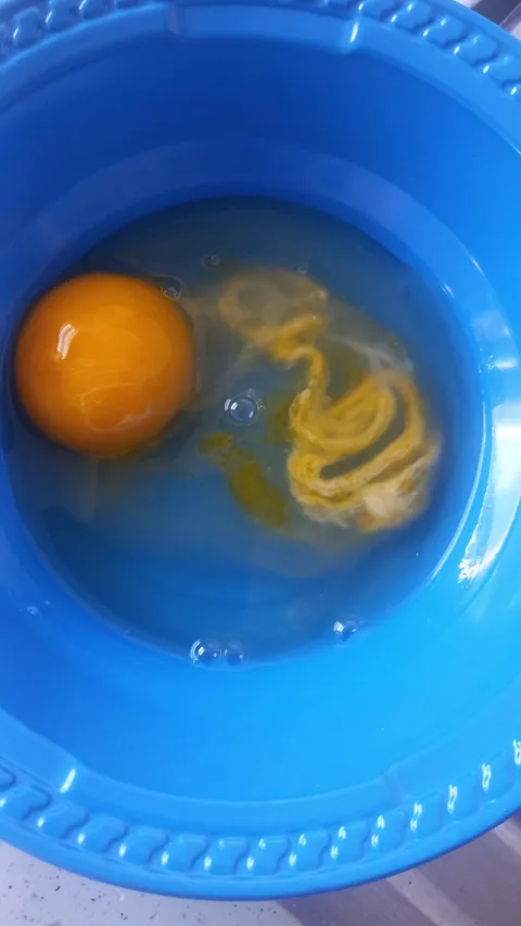 This is an egg my aunt got, what’s going on with it?