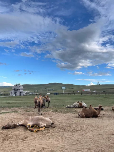Pictures from my second trip to Mongolia (Summer 2025)