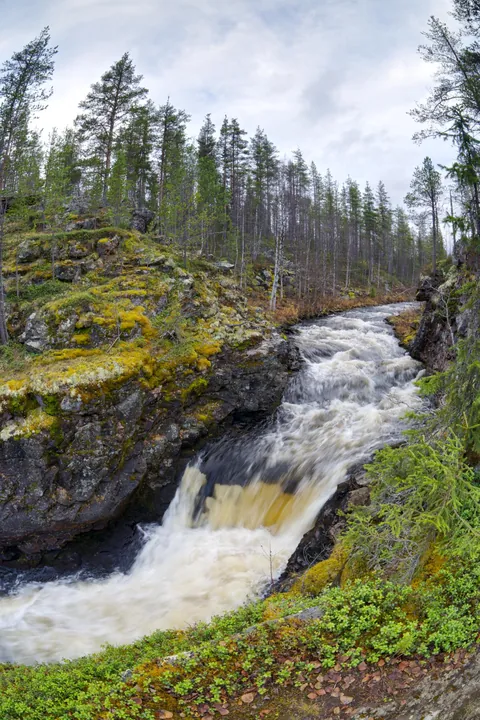 Kuerlinkka, Finland. [1333 x 2000] OC