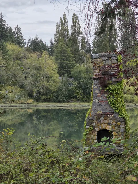 Abandoned fireplace in Washington State
