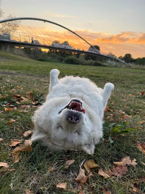 Just my blind girl enjoying life