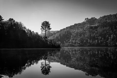 Algunos días en galicia. Non creo que haxa unha comunidade máis fermosa na terra.