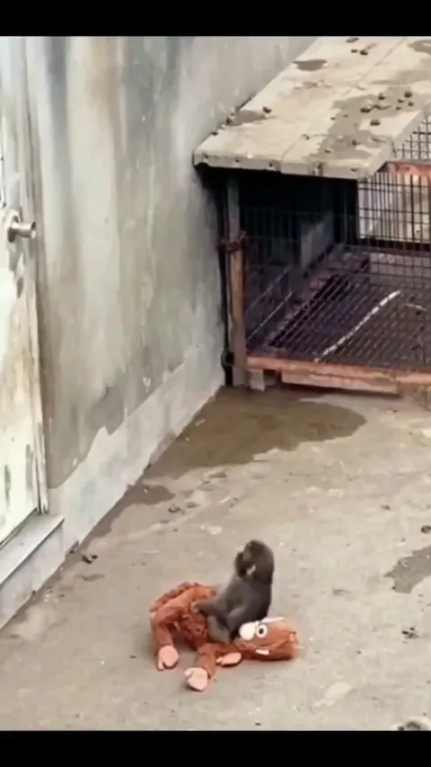 His fav guy is here.