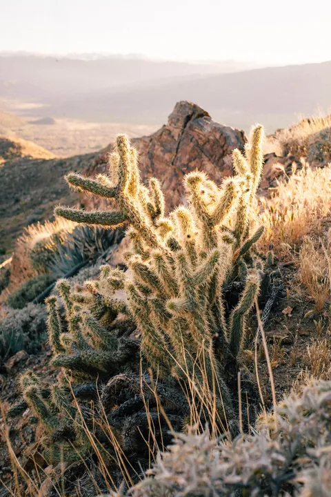 I hiked 2650 miles from Mexico to Canada on the Pacific Crest Trail