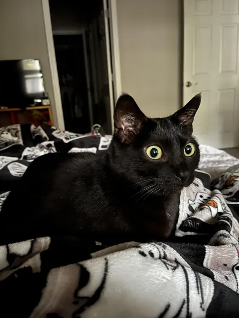 This little void of mine…