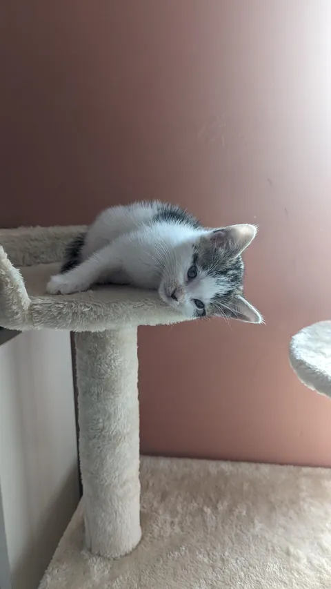 Unfortunately he's no longer this small