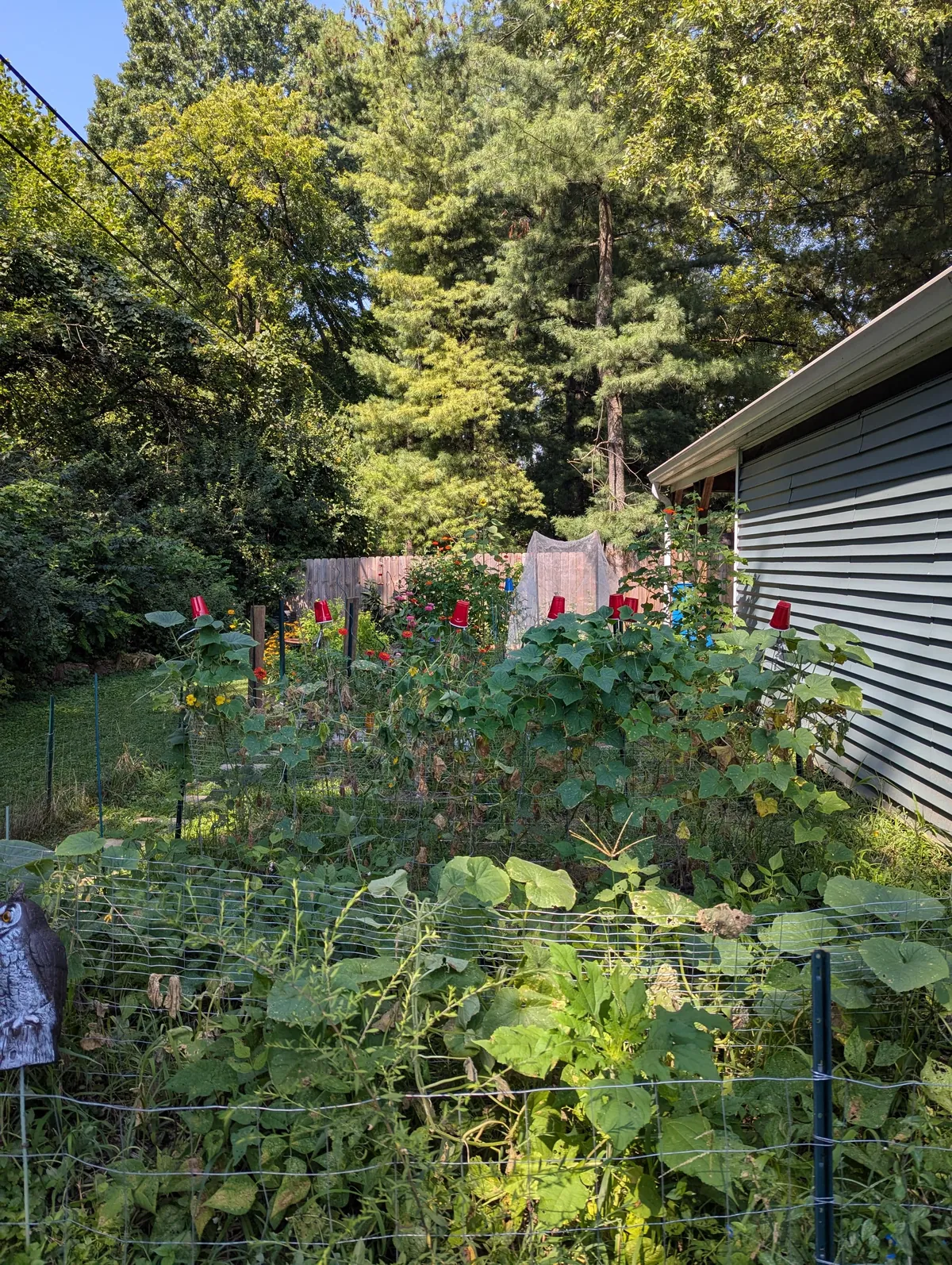 Just wanted to share some pics