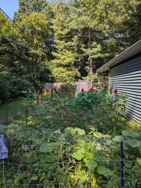 Just wanted to share some pics