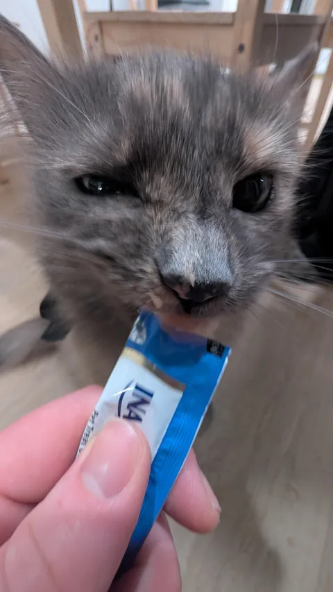 My girl turned 15 this week