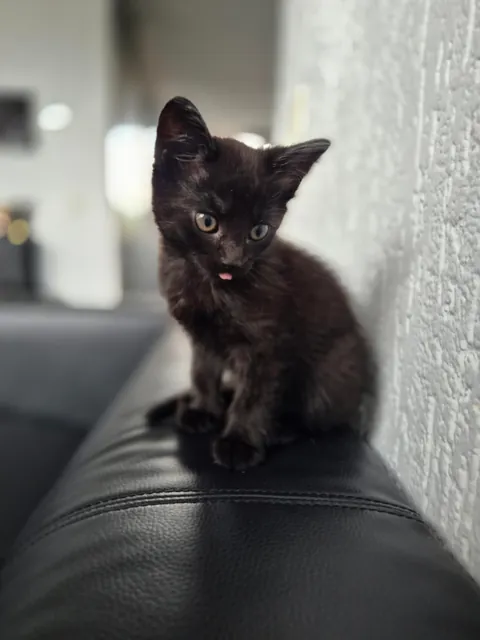 My void is 1! 🥳🥳