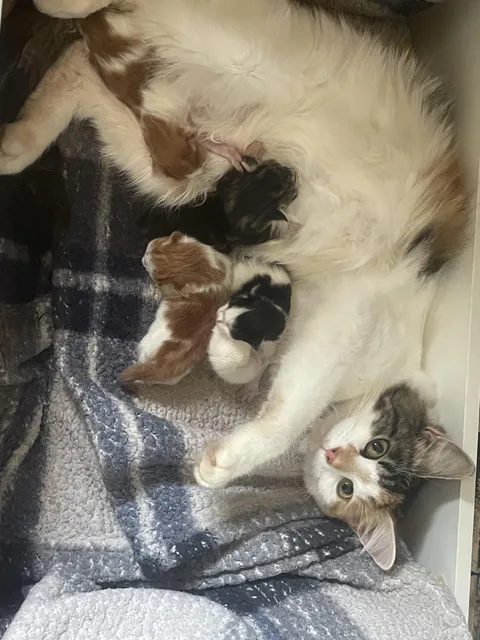 I love that she trusts me.