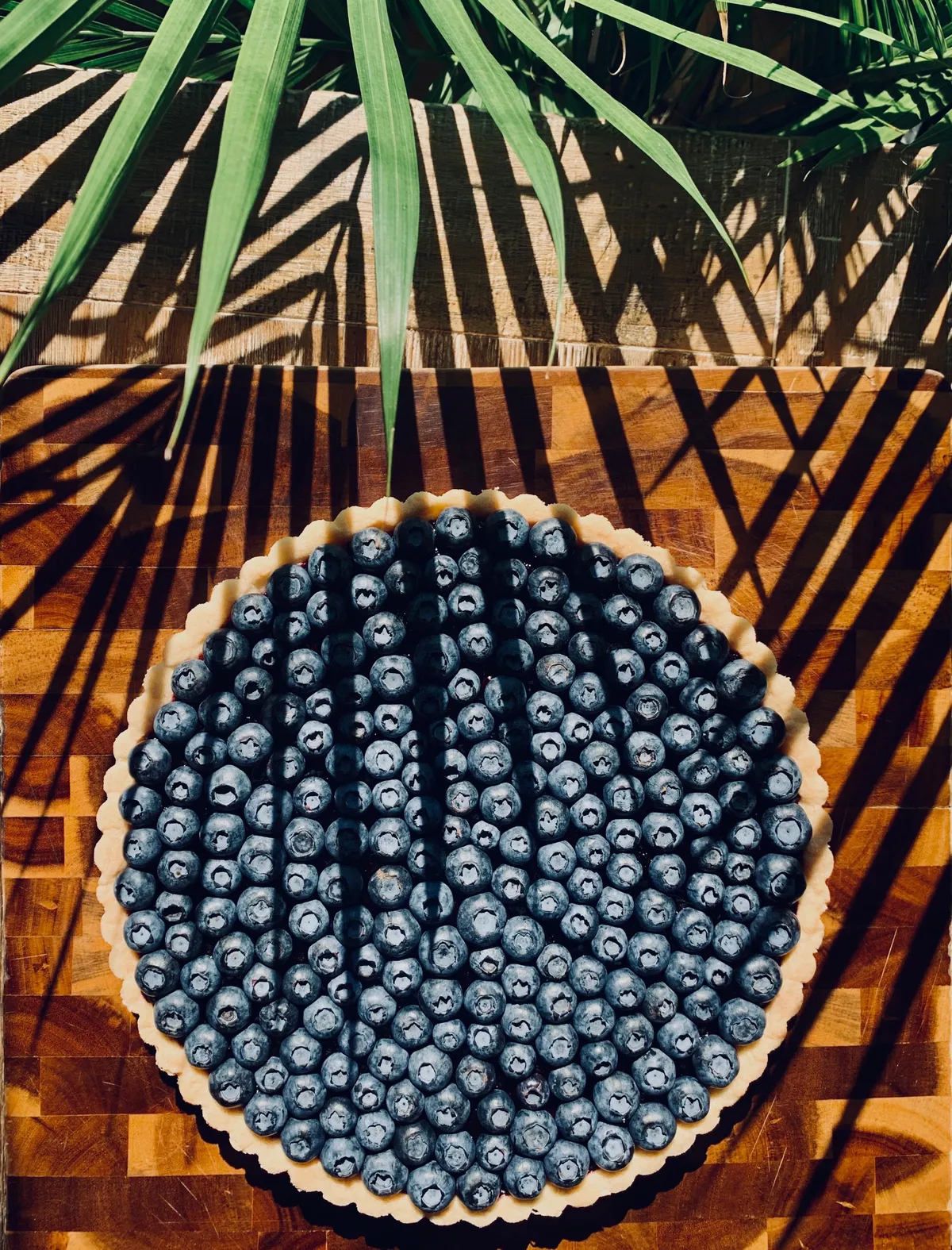 My fianceé made this lemon blueberry tart (and it was out of this world)